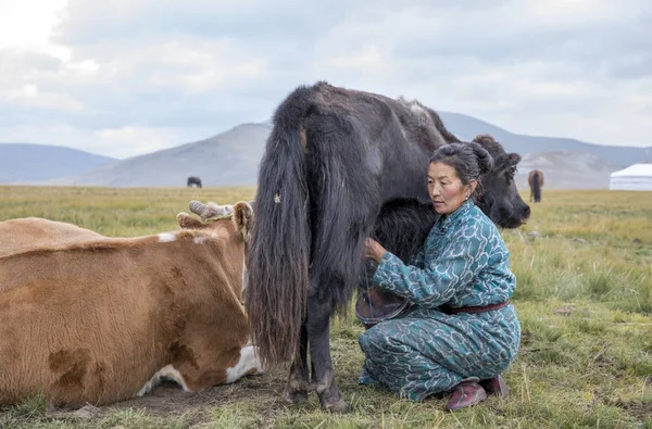 Mongoolse vrouw melken een koe — Stockfoto
