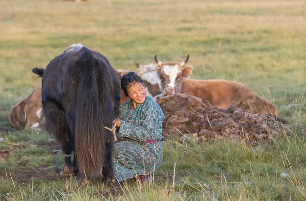 Mongoolse vrouw melken een koe — Stockfoto