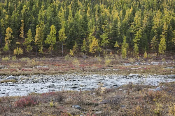 Herbstlandschaft der nördlichen Mongolei — Stockfoto