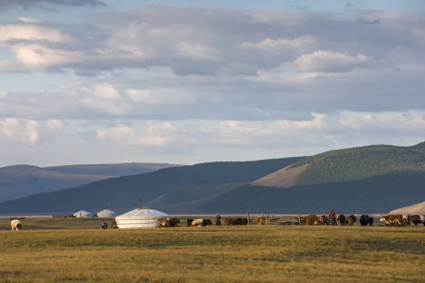風景の中のモンゴルのゲル — ストック写真