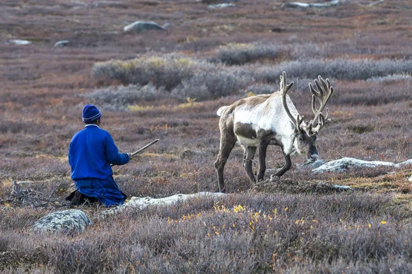 Tsaatan homem com suas renas — Fotografia de Stock
