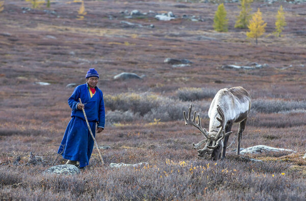 tsaatan человек со своим оленем

