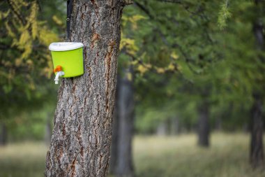 plastik el yıkama teneke kutu 