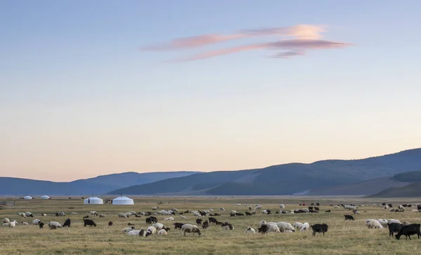 风景在日出的蒙古包 — 图库照片
