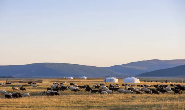 北方的蒙古族景观 — 图库照片