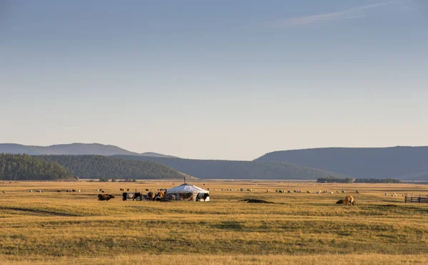 Ger dans un paysage du nord de la Mongolie — Photo