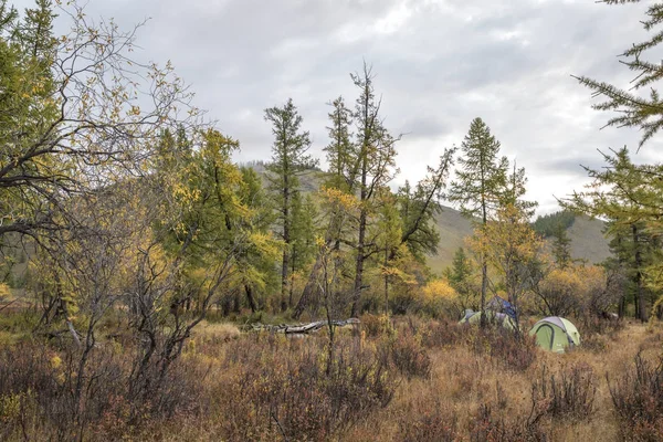 Campsite in a taiga in a fall — Stock Image Campsite in a taiga in a fall Stock Photo
