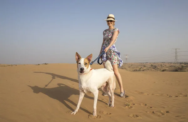 Köpeğiyle gezen kadın. — Stok fotoğraf