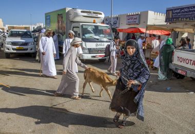 Sinaw, Umman, 30 Kasım 2017: bedhouin kadın pazarda o satın almış bir buzağı yol açar