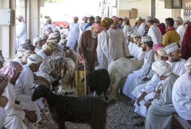 bir Pazar keçi satın alma
