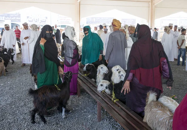 Sinaw Oman Listopada 2017 Handel Rynku Zwierząt Arabian Osób — Zdjęcie stockowe