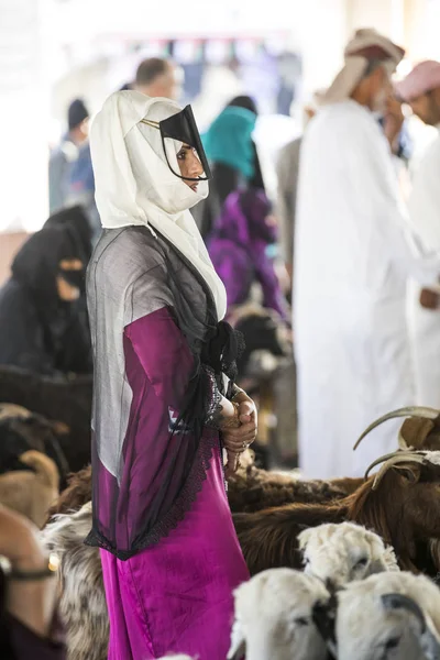 Sinaw Єднані Арабські Емірати Листопада 2017 Арабська Людей Торгується Тварин — стокове фото