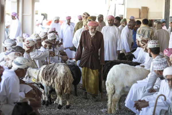 Konieczności zakupu kozy na rynku — Zdjęcie stockowe
