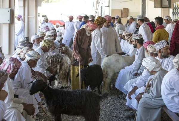 Покупка коз на рынке — стоковое фото