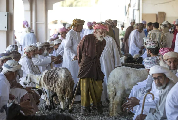 La compra de cabras en un mercado — Foto de Stock