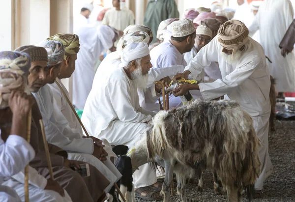 Compra de cabras num mercado — Fotografia de Stock