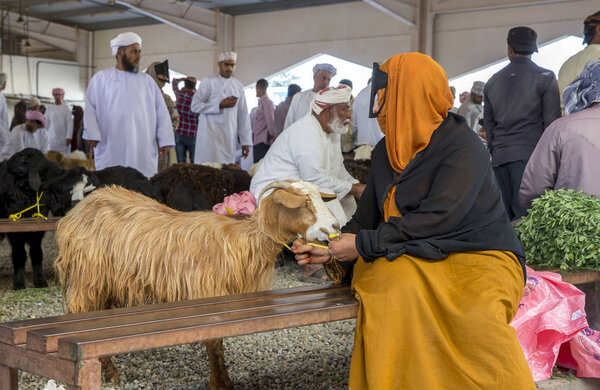people buying and selling goats at a market