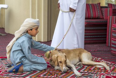Abu Dhabi, Birleşik Arap Emirlikleri, 8 Aralık 2017: saluki köpeği başkanı okşayarak Arap çocuk