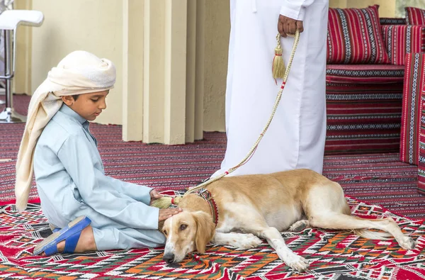 阿布扎比 阿拉伯联合酋长国 2017年12月8日 阿拉伯孩子抚摸波斯狗的头 — 图库照片