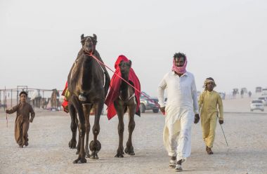Madinat Zayed, Birleşik Arap Emirlikleri, 15 Aralık 2017: Arap erkekler milyon sokakların, onun deve ile