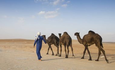 Madinat Zayed, Birleşik Arap Emirlikleri, 15 Aralık 2017: Arap adam bir çölde deve ile