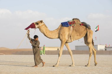 Madinat Zayed, Birleşik Arap Emirlikleri, 15 Aralık 2017: deve milyon sokakların adlı bir çocukla