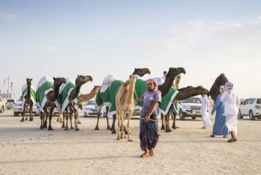 Madinat Zayed, Birleşik Arap Emirlikleri, 15 Aralık 2017: Arap adam bir çölde onun deve ile
