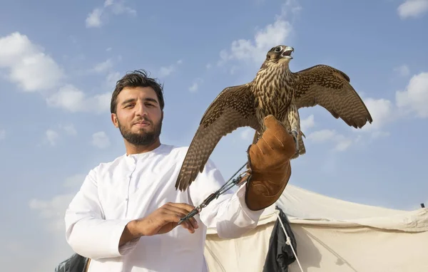 Мадинат Заид Объединенные Арабские Эмираты Декабря 2017 Года Араб Тренирует — стоковое фото