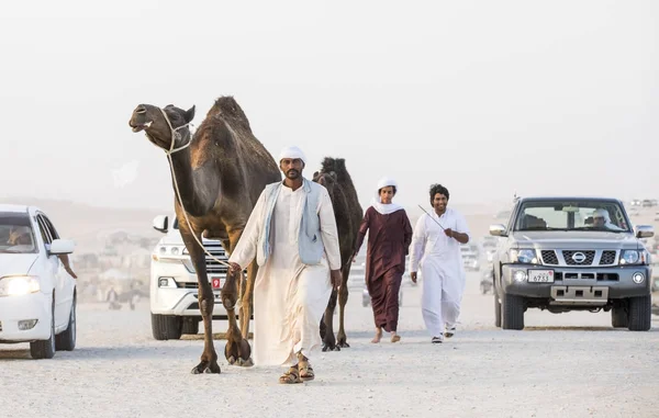 Madinat Zayed Spojené Arabské Emiráty Prosince 2017 Arabské Muže Velbloudy — Stock fotografie