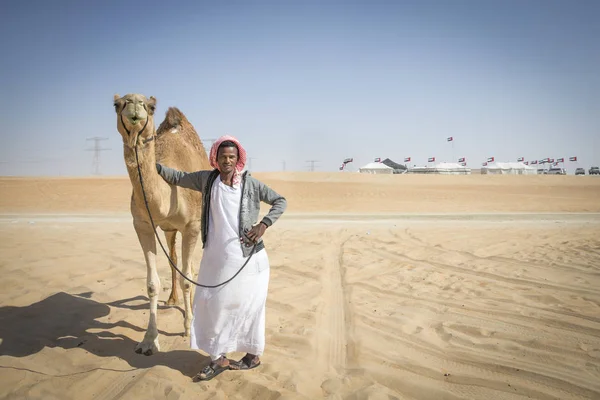 Мадинат Заид Объединенные Арабские Эмираты Декабря 2017 Года Араб Верблюдом — стоковое фото