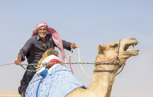 マディナ ザーイド アラブ首長国連邦 2017 砂漠の彼のラクダとアラブ人 — ストック写真