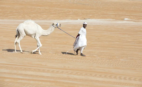 Madinat 阿拉伯联合酋长国 2017年12月15日 阿拉伯人与他的骆驼在沙漠 — 图库照片