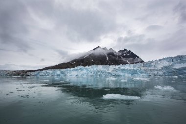 Büyük Monaco buzul Norveç'te Svalbard adalar
