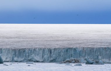 ada Nordaustlandet Svalbard achipelago içinde buz kaplı