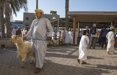 Nizwa, Umman, 2 Şubat 2018: sahne geleneksel keçi Müzayede