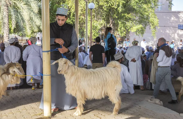 Nizwa Oman Lutego 2018 Scena Aukcji Tradycyjnej Kozy — Zdjęcie stockowe