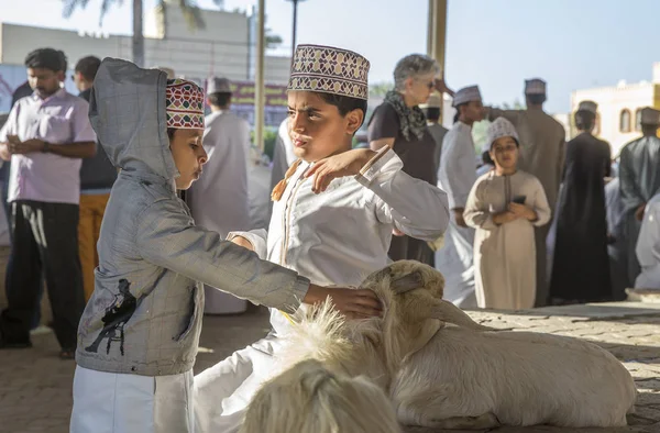 Nizwa Umman Şubat 2018 Sahne Geleneksel Keçi Müzayede — Stok fotoğraf