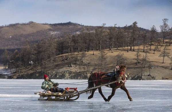 Hatgal Монголії Березня 2018 Люди Катання Санях Замерзлому Озері Khuvsgul — стокове фото