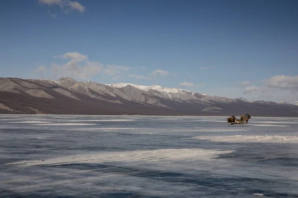 Лошадь Сани Замёрзшем Озере Хувсгул Монголии — стоковое фото