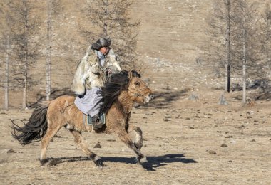 Moğol adam bir kurt deri ceketli bir bozkır Kuzey Moğolistan onun at binme