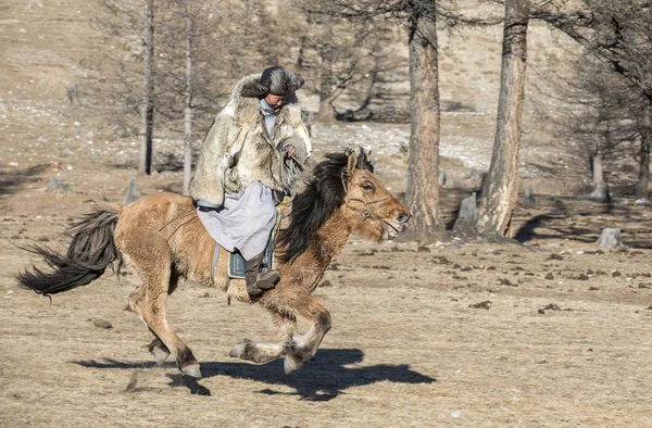 Μογγολικό Άνδρας Ντυμένος Σακάκι Δέρμα Λύκου Στο Άλογό Του Μια — Φωτογραφία Αρχείου