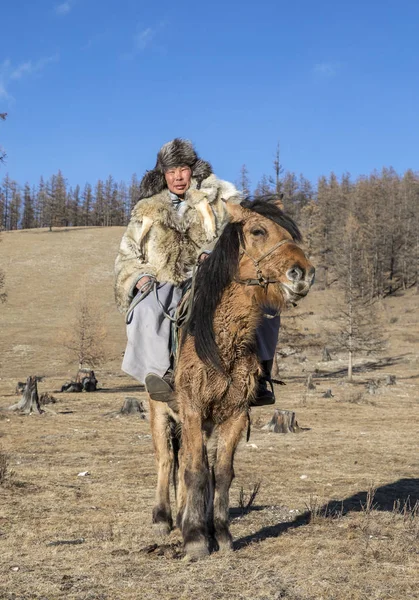 Μογγολικό άνδρα που φοράει ένα σακάκι δέρμα λύκου, ιππασία το άλογο σε ένα σύμπλεγμα δομών — Φωτογραφία Αρχείου