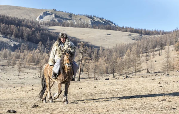 mongolian man wearing a wolf skin jacket, riding his horse in a steppe of northern Mongolia