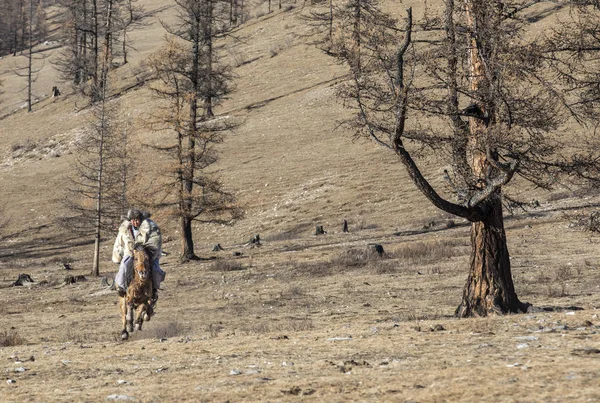 mongolian man wearing a wolf skin jacket, riding his horse in a steppe in Northern Mongolia