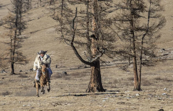 Mongoolse man met een wolf huid jas, rijdt zijn paard in een steppe van noordelijke Mongolië — Stockfoto