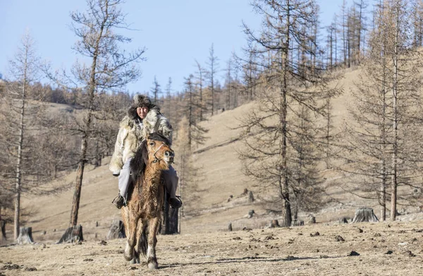Mongoolse man met een wolf huid jas, rijdt zijn paard in een steppe van noordelijke Mongolië — Stockfoto