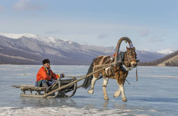 Man rider på en kälke — Stockfoto