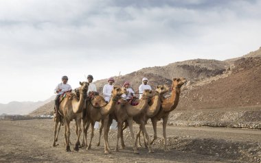 Ibri, Umman, 7 Nisan 2018: Omani erkek deve bir peyzaj kırsal Umman sürme