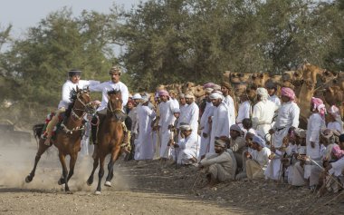 Ibri, Oman, April 7th, 2018: omani men on a horses in a countryside of Oman clipart