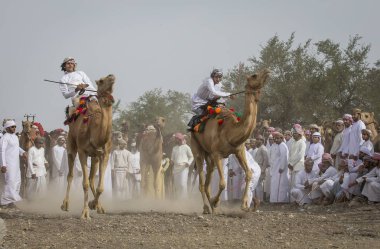 Khadal, Umman, 7 Nisan 2018: Umman kırsalında deve yarış omani erkekler